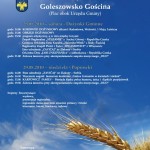 plakat goleszow poljska